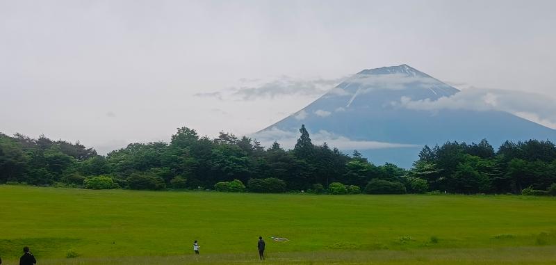 Featured image of post 2025年ふりかえり & 2026年所信表明